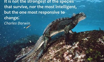 Stronger Of The Species Charles Darwin Daily Quotes Sayings Pictures