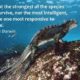 Stronger Of The Species Charles Darwin Daily Quotes Sayings Pictures