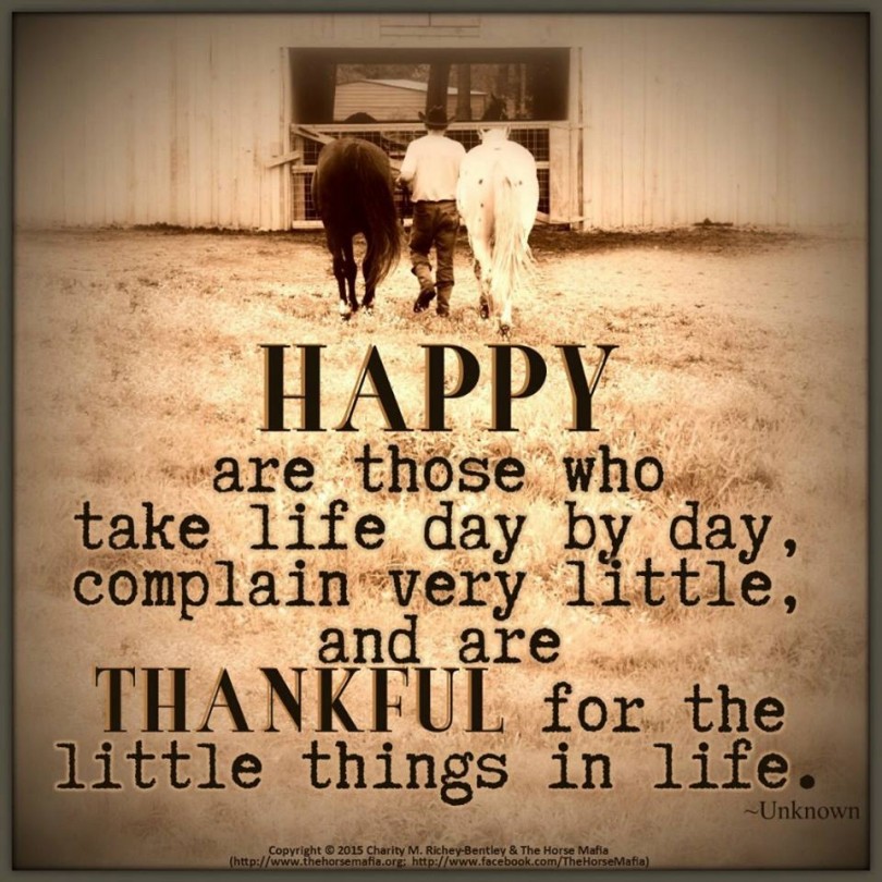 Happy are those who take life day by day, complain very little, and are thankful for the little things in life.