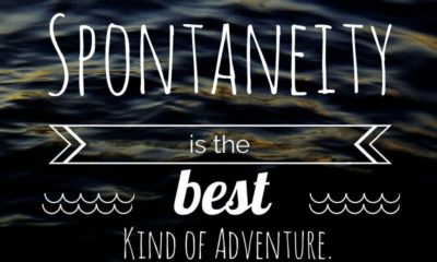 The Best Adventure