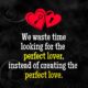 The Perfect Love