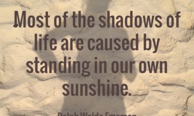 The Shadows Of Life