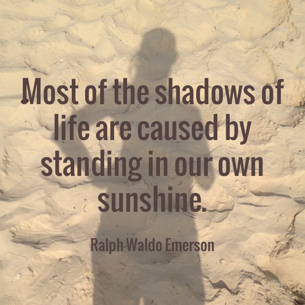 The Shadows Of Life