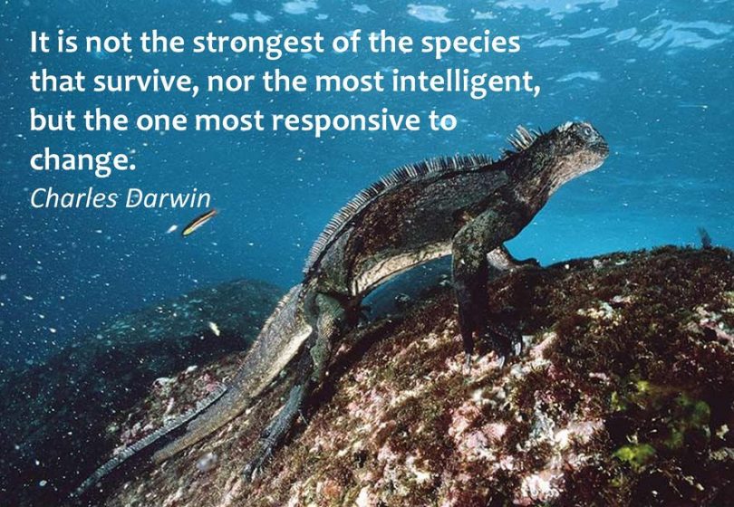 It is not the strongest of the species that survive, nor the most intelligent, but the one most responsive to change. - Charles Darwin