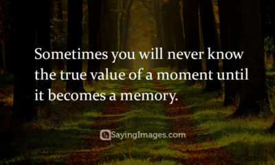 Top 20 Memory Quotes Sayings