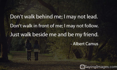 Top 50 Classical Quotes About Friends Friendship