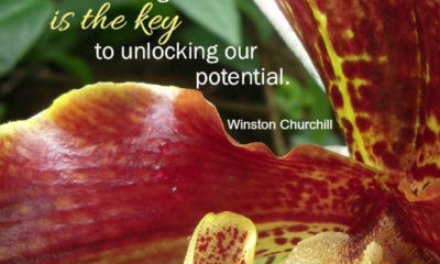 Unlocking Our Potential