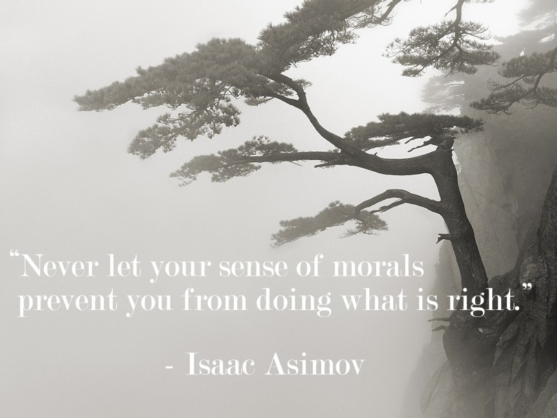Never let your sense of morals prevent you from doing what is right. - Isaac Asimov