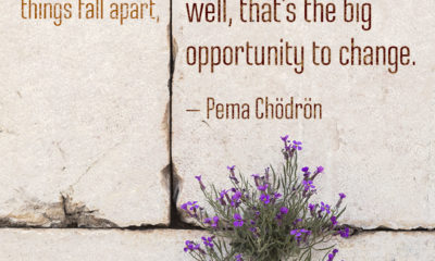 When Things Fall Apart Pema Chodron Daily Quotes Sayings Pictures