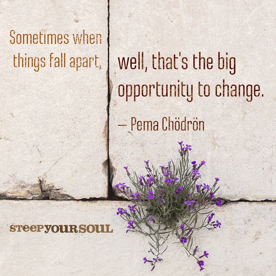 When Things Fall Apart Pema Chodron Daily Quotes Sayings Pictures