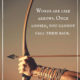 Words Are Like Arrows