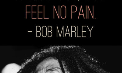 You Feel No Pain