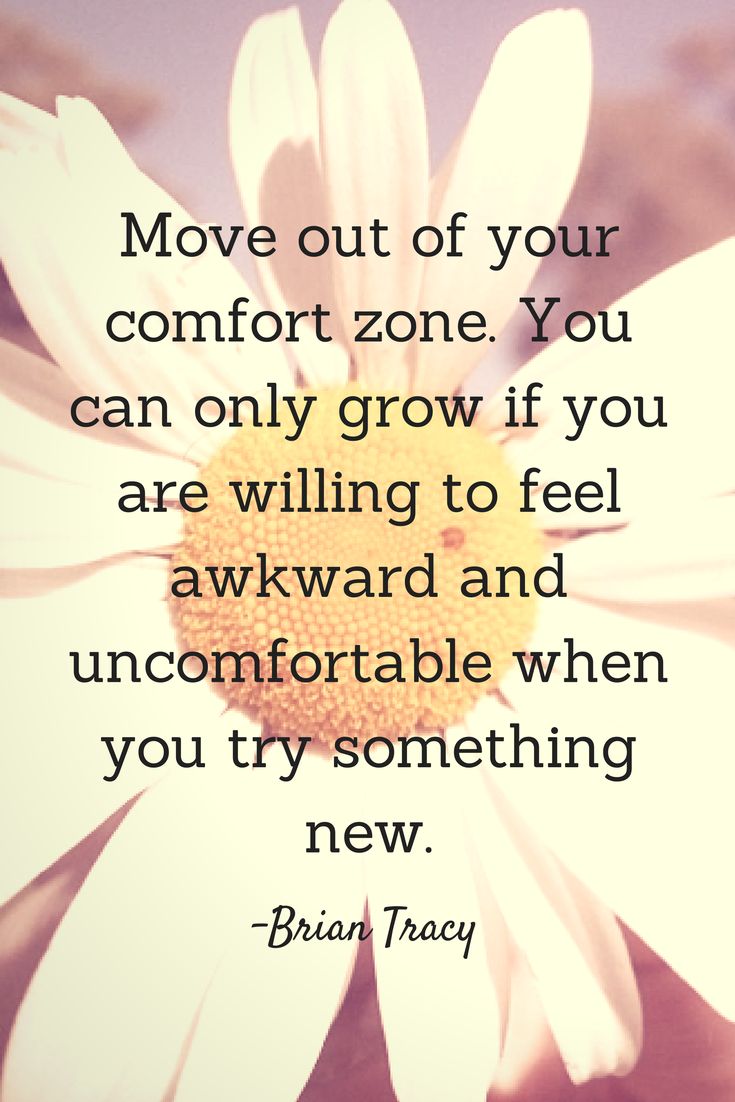 Your Comfort Zone