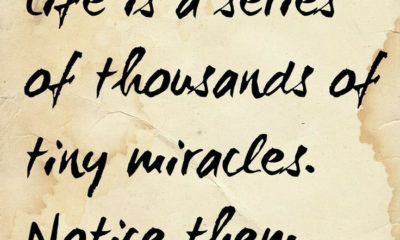 1486464964 162 Tiny Miracles