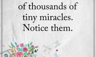 1487030655 386 Tiny Miracles