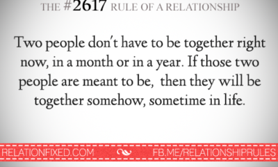 1487130942 260 Relationship Rules