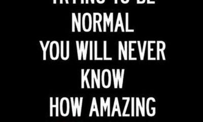 1487133022 291 Trying To Be Normal