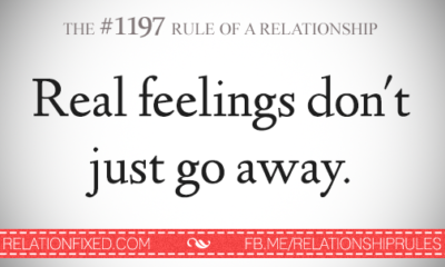 1487412987 151 Relationship Rules