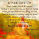 1487975331 776 Never Give Up