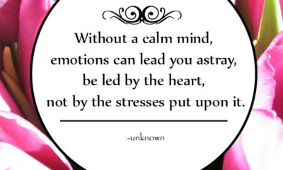 A Calm Mind