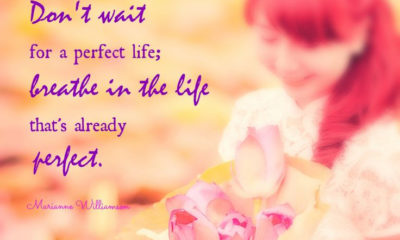 A Perfect Life