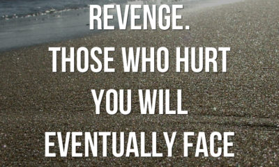 Dont Waste Your Time On Revenge