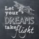 Dreams Take Flight