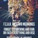 F E A R Has Two Meanings