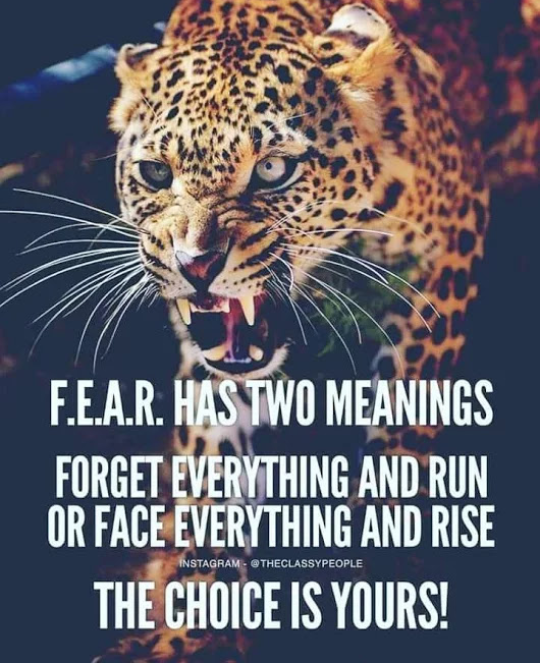 F E A R Has Two Meanings