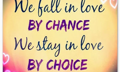 Fall In Love By Chance