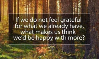 Feel Grateful