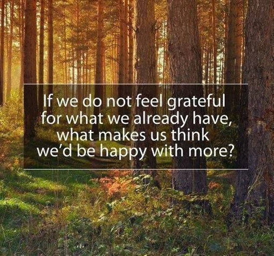 Feel Grateful