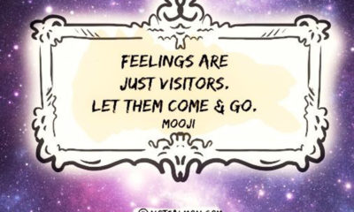 Feelings Are Just Visitors