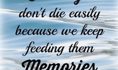 Feelings Dont Die Easily