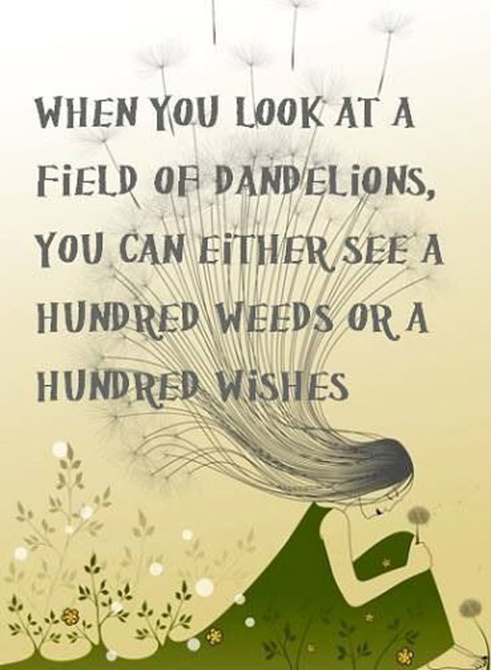 Field Of Dandelions