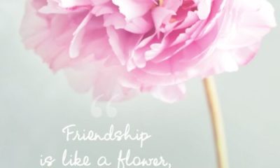 Friendship Is Like A Flower