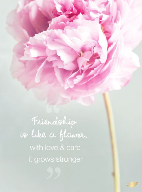 Friendship Is Like A Flower