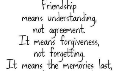 Friendship Means Understanding