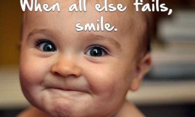 Funny Smile Quotes