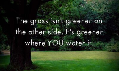 Grass Is Greener