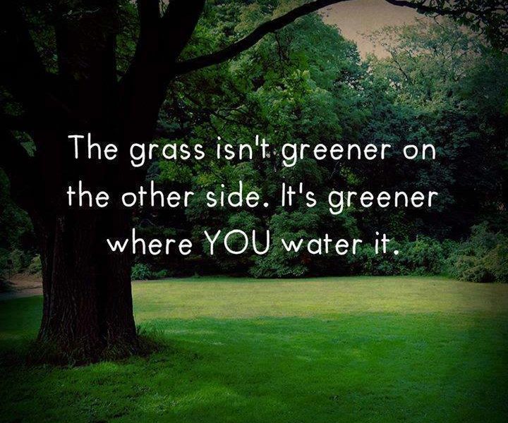 Grass Is Greener Word Porn Quotes Love Quotes Life Quotes