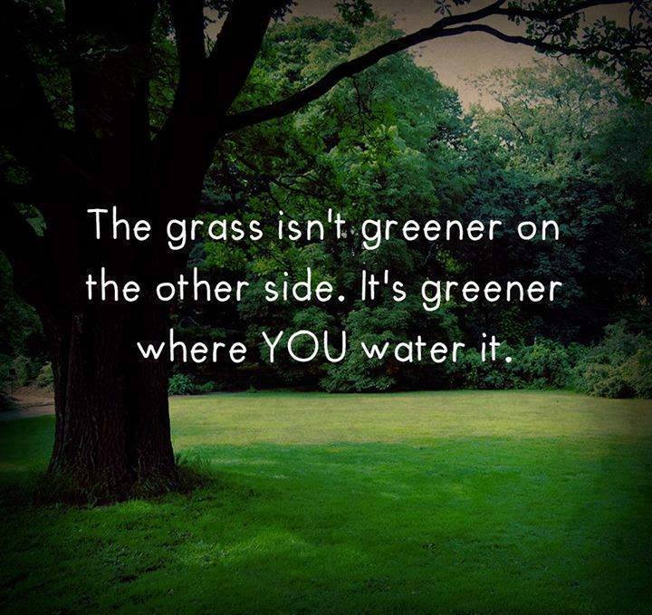 Grass Is Greener Word Porn Quotes Love Quotes Life Quotes