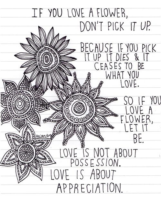 If You Love A Flower