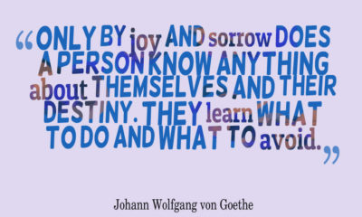 Joy And Sorrow Johann Wolfgang Von Goethe Quotes Sayings Pictures