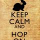 Keep Calm And Hop On