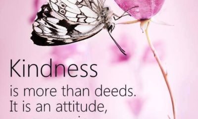 Kindness Is More Than Deeds