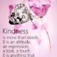 Kindness Is More Than Deeds