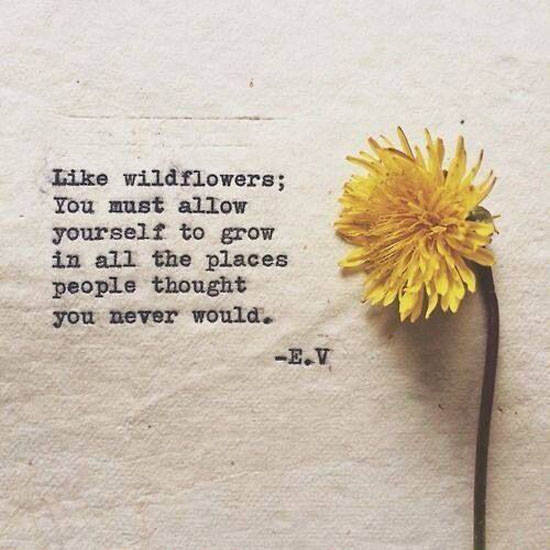 Like A Wildflower