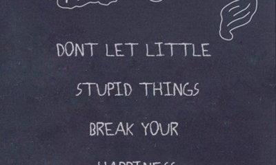 Little Stupid Things