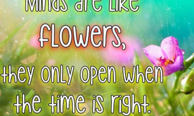 Minds Are Like Flowers